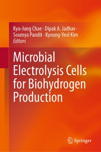 Abbildung von: Microbial Electrolysis Cells for Biohydrogen Production - Springer