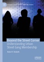Cover: Beyond the Street Corner - Palgrave Macmillan