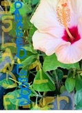 Cover: Island Flower, Damaged Goods - Carol U. Hodge