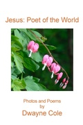Cover: Jesus Poet of the World - Parson's Porch