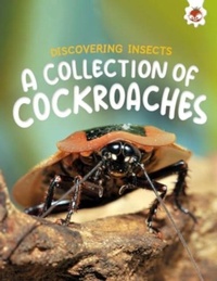 Enlarge image Cover: Discovering Insects: A Collection of Cockroaches - Hungry Tomato Ltd