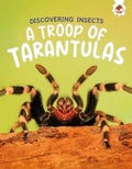 Cover: Discovering Insects: A Troop of Tarantulas - Hungry Tomato Ltd