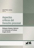 Abbildung von: Aspectos críticos del Derecho procesal - Siglo del Hombre Editores S.A.