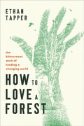 Cover: How to Love a Forest - Augsburg Fortress Publishers