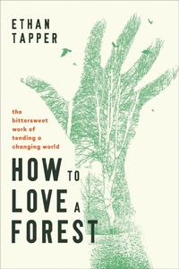 Enlarge image Cover: How to Love a Forest - Augsburg Fortress Publishers