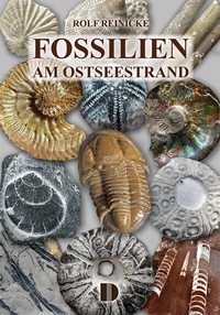 Abbildung von: Fossilien am Ostseestrand - Demmler Verlag