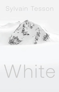 Enlarge image Cover: White - Polity Press