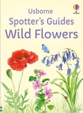 Cover: Spotter's Guides: Wild Flowers - Usborne Publishing Ltd