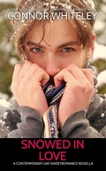Cover: Snowed In Love: A Contemporary Gay Sweet Romance Novella (The English Gay Contemporary Romance Books, #15) - Cgd Publishing