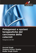 Cover: Patogenesi e opzioni terapeutiche del carcinoma della colecisti - Edizioni Sapienza