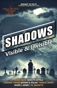 Enlarge image Cover: Shadows: Visible & Invisible (Visible & Invisible Series, #5) - Catholic Teen Books