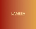 Cover: LAMEBA - Edition Esefeld & Traub