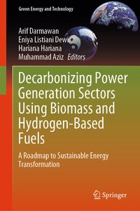 Enlarge image Cover: Decarbonizing Power Generation Sectors Using Biomass and Hydrogen-Based Fuels - Springer