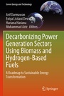 Cover: Decarbonizing Power Generation Sectors Using Biomass and Hydrogen-Based Fuels - Springer