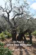 Abbildung von: St Paul's Olive Tree Metaphor - Deslee Campbell