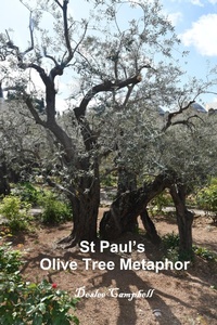 Abbildung von: St Paul's Olive Tree Metaphor - Deslee Campbell