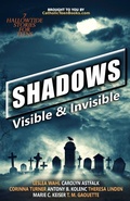 Cover: Shadows - Catholic Teen Books