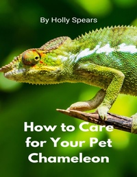 Abbildung von: How to Care for Your Pet Chameleon - Lulu.com