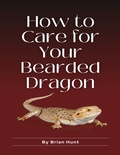 Cover: How to Care for Your Bearded Dragon - Lulu.com