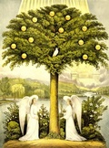 Cover: Trees of Life: A Visual History of Evolution - deepika sharma