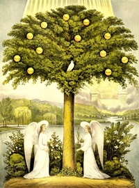 Enlarge image Cover: Trees of Life: A Visual History of Evolution - deepika sharma