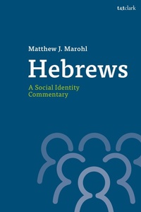 Enlarge image Cover: Hebrews: A Social Identity Commentary - T.& T.Clark Ltd