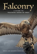 Cover: Falconry - Amber Books
