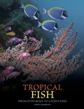 Cover: Tropical Fish - Amber Books