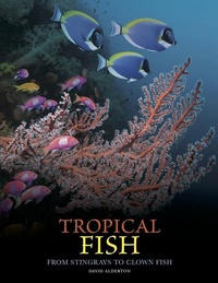 Abbildung von: Tropical Fish - Amber Books