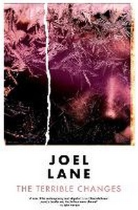 Enlarge image Cover: The Terrible Changes - Influx Press