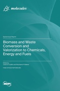 Cover: Biomass and Waste Conversion and Valorization to Chemicals, Energy and Fuels - MDPI AG