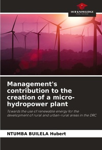 Abbildung von: Management's contribution to the creation of a micro-hydropower plant - Our Knowledge Publishing