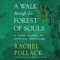 Cover: A Walk Through the Forest of Souls - DREAMSCAPE MEDIA