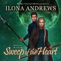 Cover: Sweep of the Heart - DREAMSCAPE MEDIA