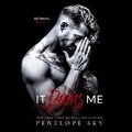 Cover: It Ruins Me - DREAMSCAPE MEDIA