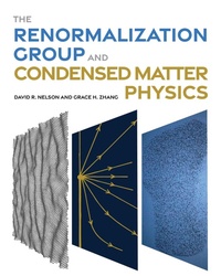 Enlarge image Cover: The Renormalization Group and Condensed Matter Physics - Princeton University Press