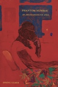Cover: Phantom Number - Tupelo Press, Incorporated