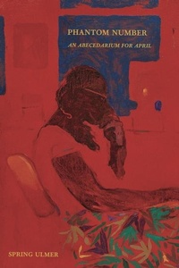 Enlarge image Cover: Phantom Number - Tupelo Press, Incorporated