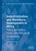 Bild: Industrialisation and Workforce Development in Africa - Palgrave Macmillan