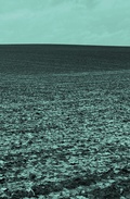 Cover: Bestandsaufnahme - Trottoir Noir
