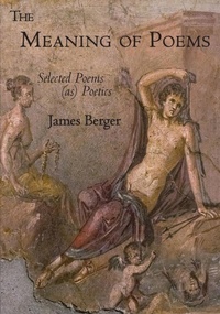Enlarge image Cover: The Meaning of Poems - Spuyten Duyvil