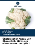 Cover: OEkologischer Anbau von Blumenkohl (Brassica oleracea var. botrytis L - Verlag Unser Wissen