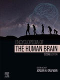 Abbildung von: Encyclopedia of the Human Brain - Academic Press