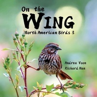 Abbildung von: On the Wing - North American Birds 3 - Hei Greenhouse Studio