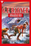 Cover: E-Book 271-280 - Blattwerk Handel GmbH