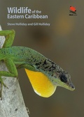 Cover: Wildlife of the Eastern Caribbean - Princeton University Press
