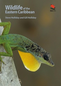 Abbildung von: Wildlife of the Eastern Caribbean - Princeton University Press