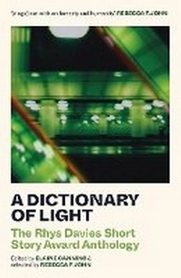 Enlarge image Cover: A Dictionary of Light - Parthian Books
