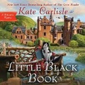Cover: Little Black Book - DREAMSCAPE MEDIA