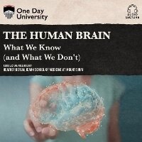 Enlarge image Cover: The Human Brain - DREAMSCAPE MEDIA